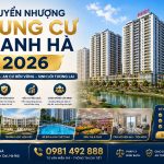 chuyển nhượng chung cư thanh hà