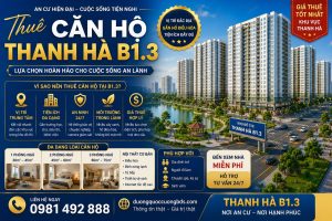 thuê căn hộ thanh hà b1.3 full nội thất