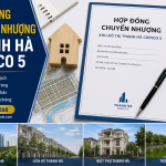 Hợp đồng chuyển nhượng Thanh Hà Cienco 5 là tài liệu pháp lý quan trọng khi thực hiện giao dịch bất động sản tại Khu đô thị Thanh Hà Cienco 5. Hình ảnh minh họa nội dung hợp đồng, điều kiện chuyển nhượng, hồ sơ pháp lý, tiến độ thanh toán, bàn giao và các quy định cần lưu ý đối với liền kề Thanh Hà và biệt thự Thanh Hà, giúp người mua hiểu rõ quy trình giao dịch và bảo vệ quyền lợi của mình.