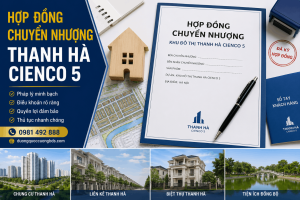 Hợp đồng chuyển nhượng Thanh Hà Cienco 5 là tài liệu pháp lý quan trọng khi thực hiện giao dịch bất động sản tại Khu đô thị Thanh Hà Cienco 5. Hình ảnh minh họa nội dung hợp đồng, điều kiện chuyển nhượng, hồ sơ pháp lý, tiến độ thanh toán, bàn giao và các quy định cần lưu ý đối với liền kề Thanh Hà và biệt thự Thanh Hà, giúp người mua hiểu rõ quy trình giao dịch và bảo vệ quyền lợi của mình.