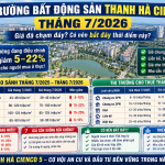 Thị trường bất động sản Thanh Hà Cienco 5 tháng 7/2026 đang bước vào giai đoạn điều chỉnh với mặt bằng giá bán giảm từ 5–22% tùy phân khúc, trong khi thị trường cho thuê vẫn duy trì ổn định. Bài viết phân tích chi tiết diễn biến của thị trường bất động sản Hà Nội và Thanh Hà, cập nhật bảng giá mua bán, cho thuê mới nhất, đánh giá mức cắt lỗ thực tế và cơ hội dành cho người mua ở thực cũng như nhà đầu tư dài hạn.