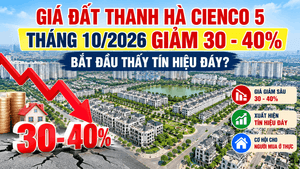 Giá đất Thanh Hà Cienco 5 tháng 10/2026 giảm sâu, xuất hiện tín hiệu tạo đáy.